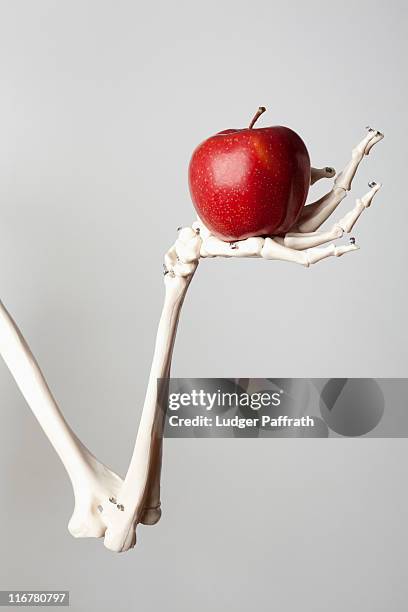 a skeleton arm and hand holding a red apple - human arm stock pictures, royalty-free photos & images