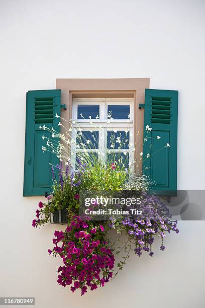 flowers below a window with shutters - window box stock pictures, royalty-free photos & images