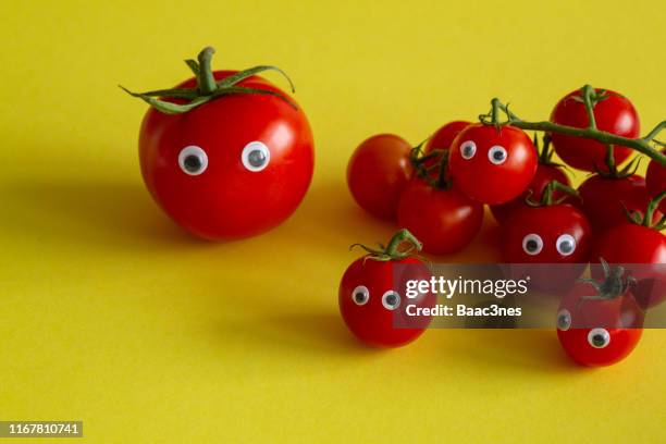 tomatoes with googly eyes - funny vegetable stock pictures, royalty-free photos & images