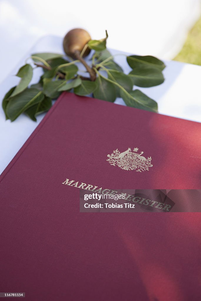 Detail of a marriage registry book