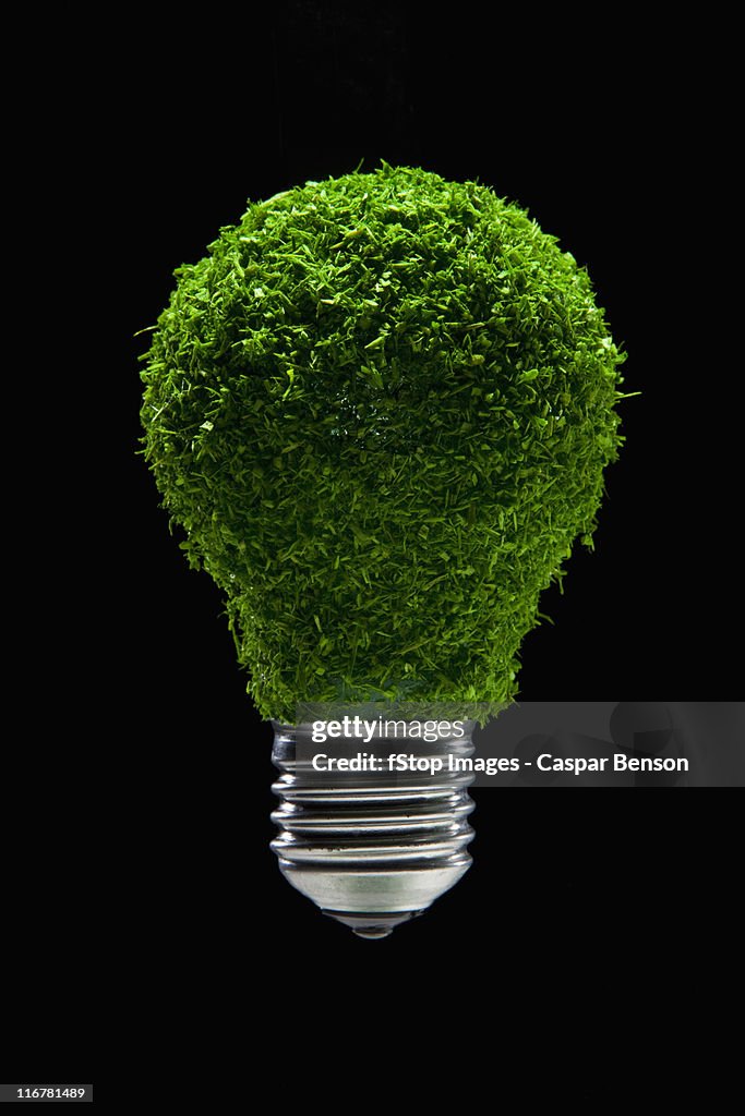 Green grass covered light bulb