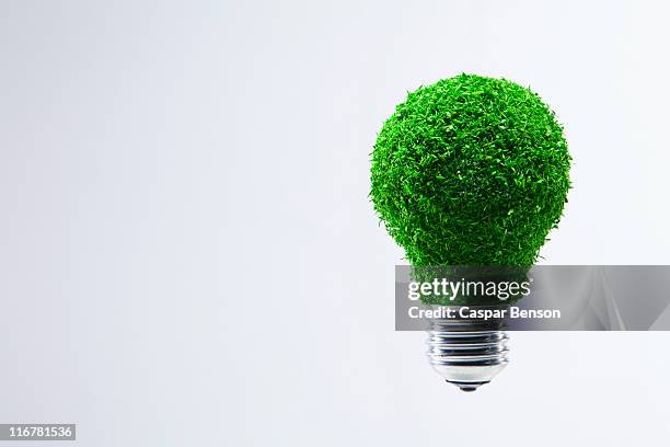 energy saving light bulb covered in green grass - energiemanagement stock-fotos und bilder
