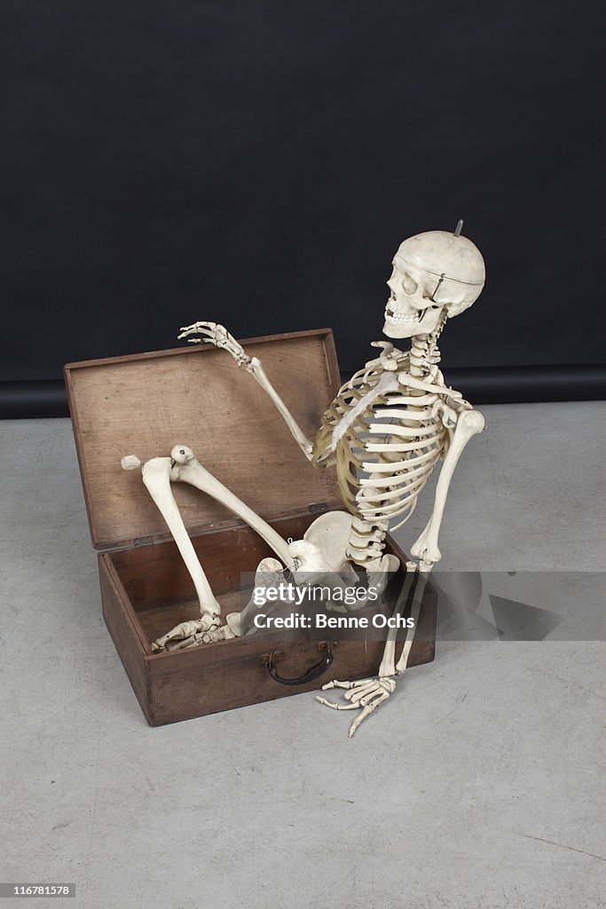 Skeleton getting out of the box.