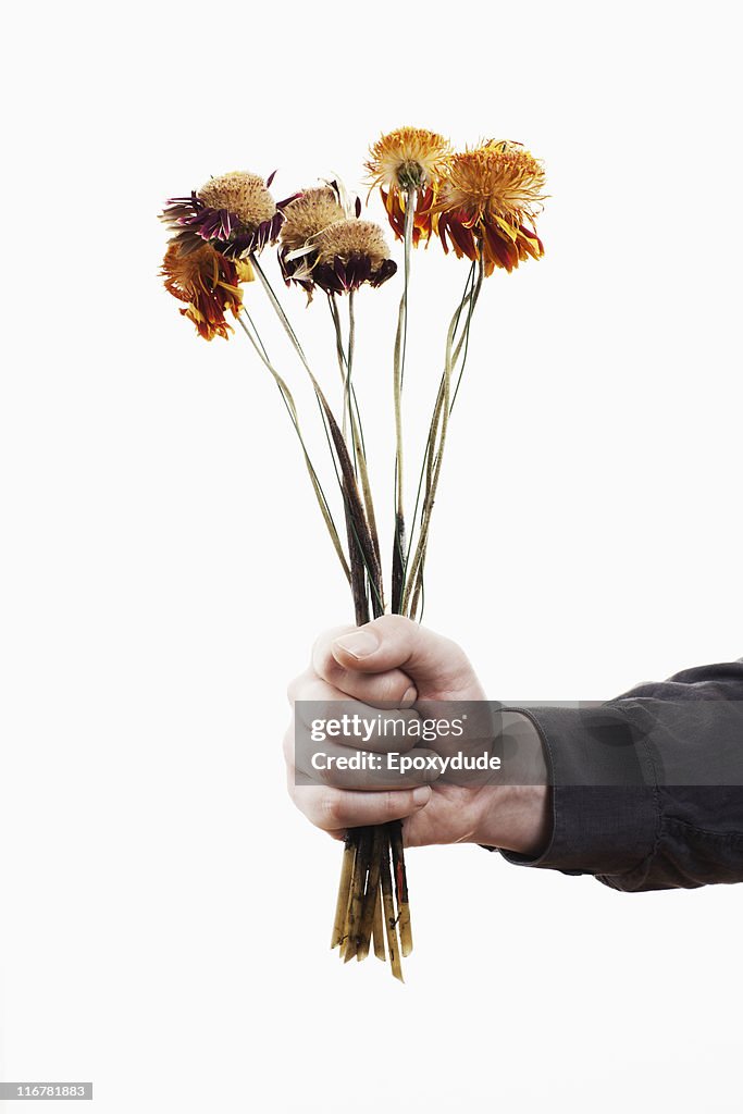 A man holding out a bunch of dead flowers, close-up of hand