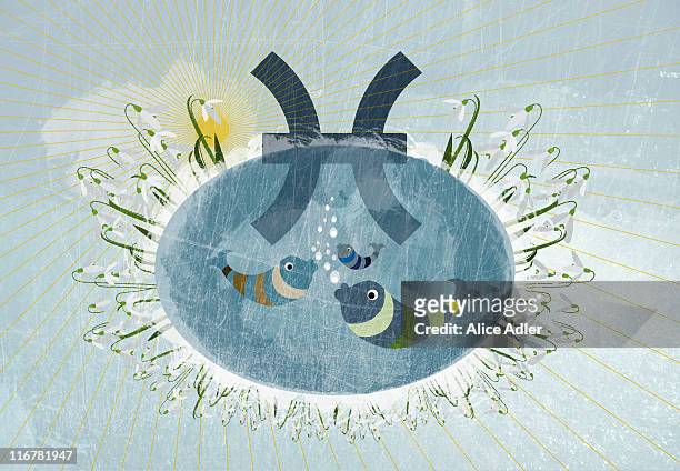 astrological sign of pisces - three animals stock illustrations