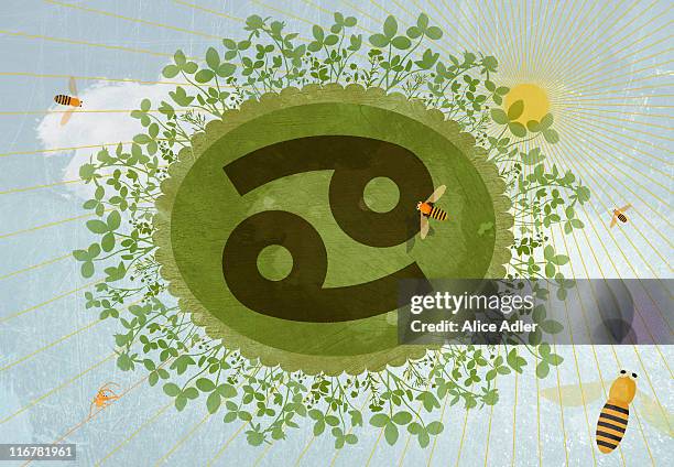 astrological sign of cancer - cancer astrology sign stock illustrations