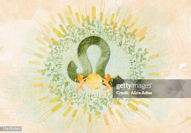 astrological sign of leo - sternzeichen stock-grafiken, -clipart, -cartoons und -symbole