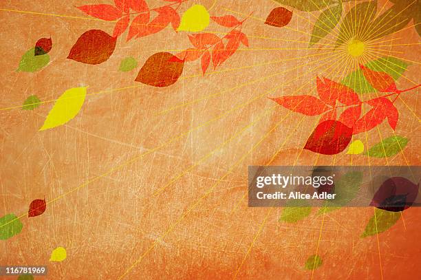 the sun and floating leaves - the fall stock illustrations