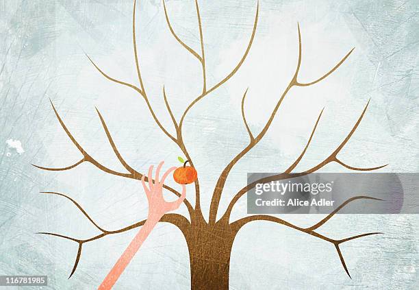 a hand picking the last apple from a bare tree - apple picking stock illustrations