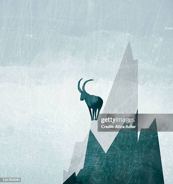 a goat on the side of a snowcapped mountain - fate stock-grafiken, -clipart, -cartoons und -symbole