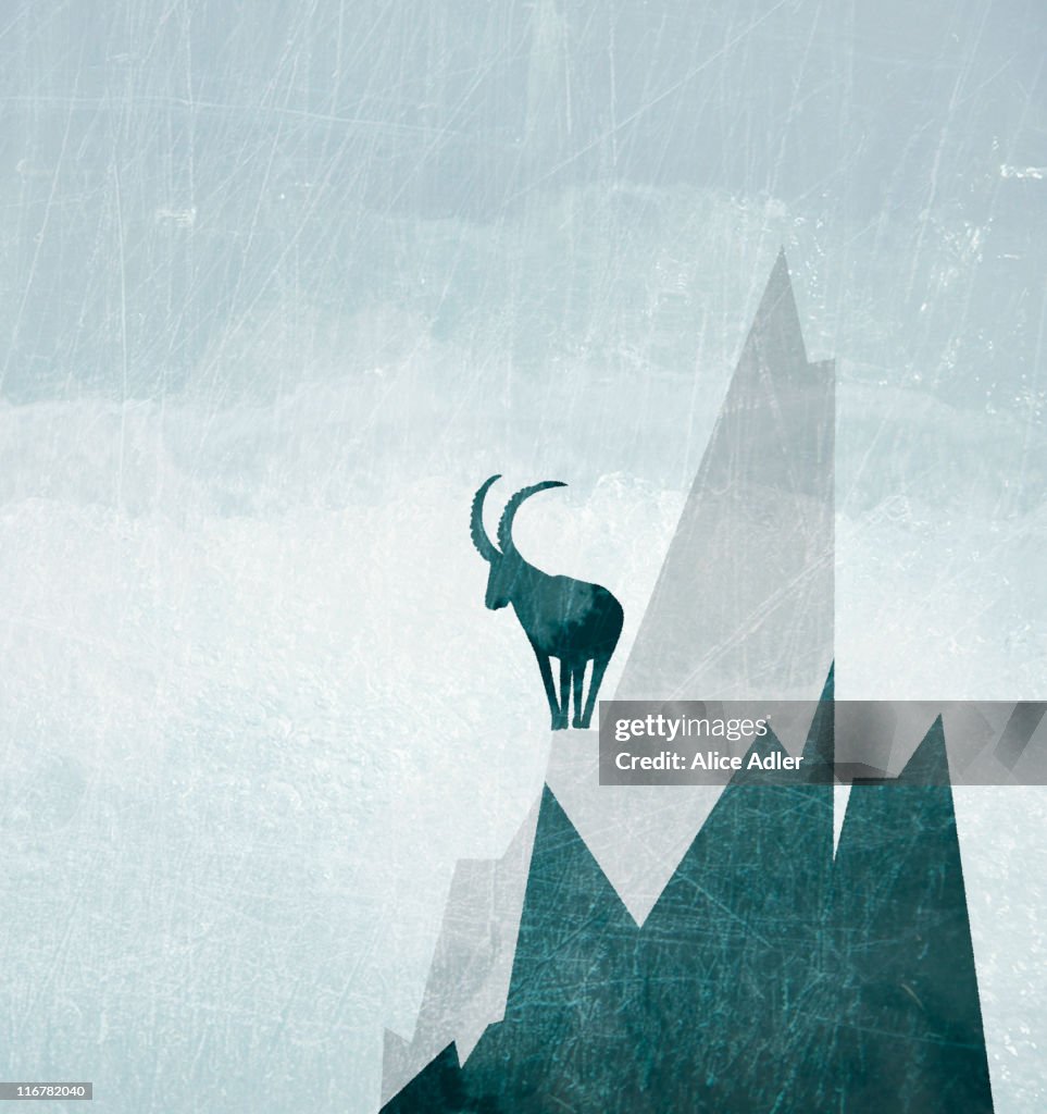 A goat on the side of a snowcapped mountain