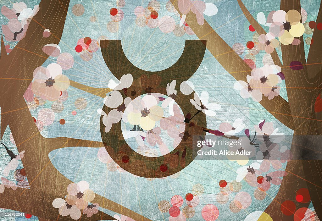 Astrological sign of Taurus