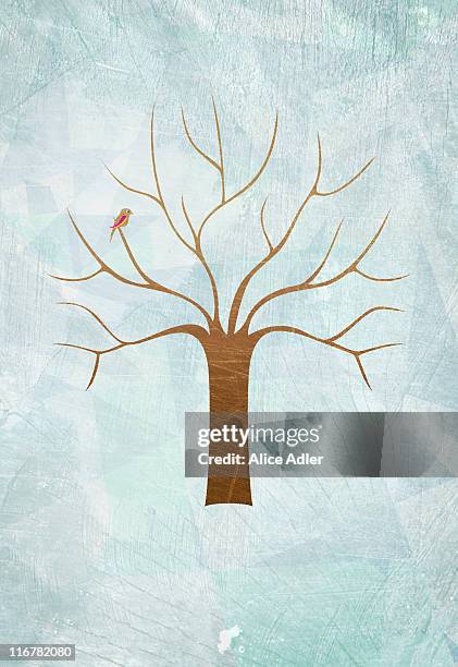 a bird in a tree with no leaves - bare tree stock illustrations