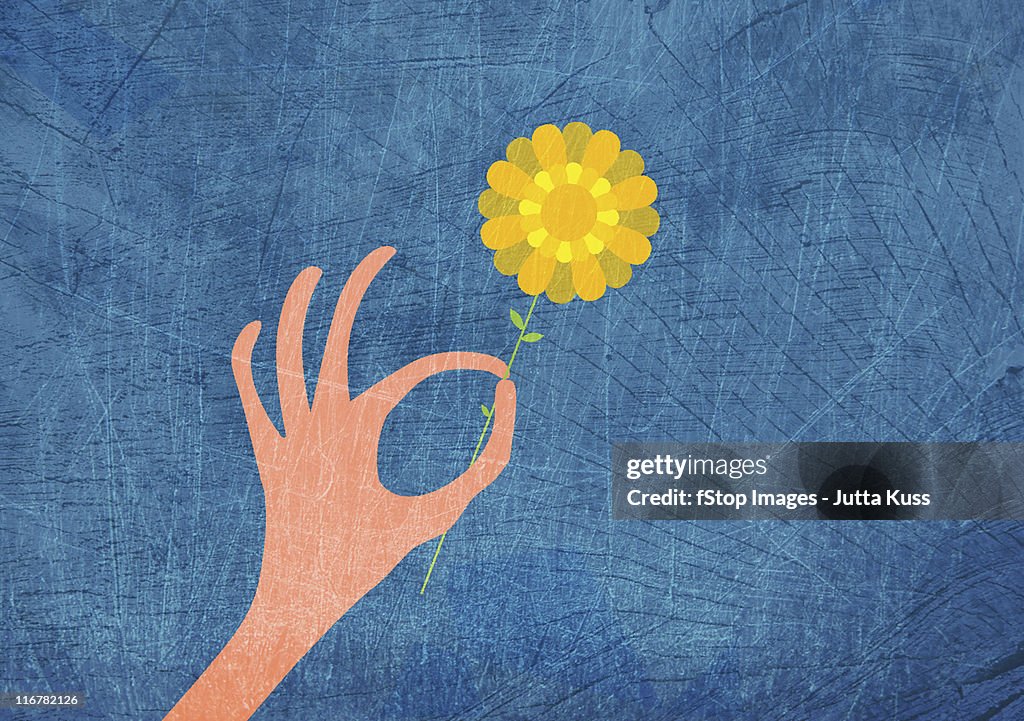 A hand holding a yellow flower