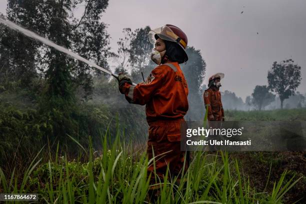 Firefighter extinguish the fire on burned peatland and fields on September 13, 2019 in Pulang Pisau regency, Central Kalimantan, Indonesia. Illegal...