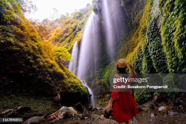 madakaripura waterfall is the tallest waterfall in java and the second tallest waterfall in bromo mountain area, indonesia. - surabaya stockfoto's en -beelden