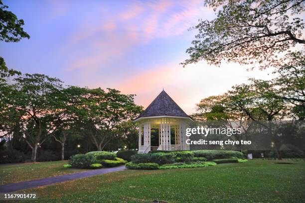 singapore botanic gardens - singapore botanic gardens ストックフォトと画像