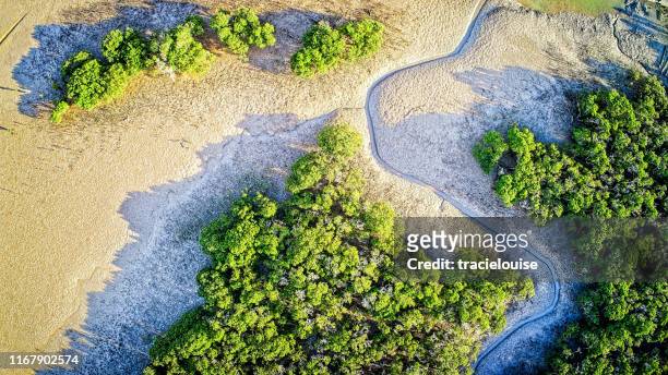 tooradin mangroven - victoria australia stock-fotos und bilder