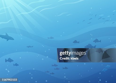Underwater Background Underwater Background