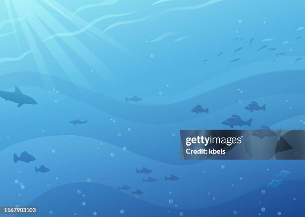 underwater background - underwater stock illustrations