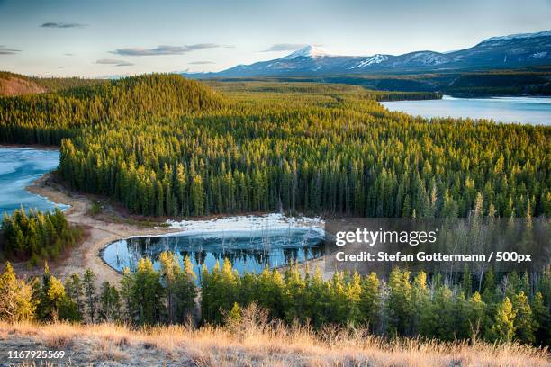 hidden lake - whitehorse stock pictures, royalty-free photos & images