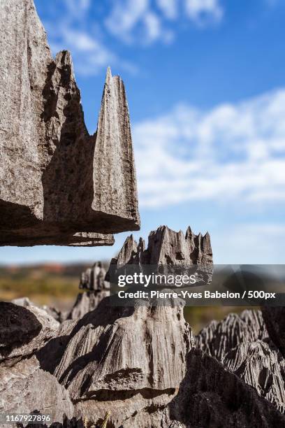 the great tsingy de bemaraha - pierre yves babelon madagascar stock-fotos und bilder
