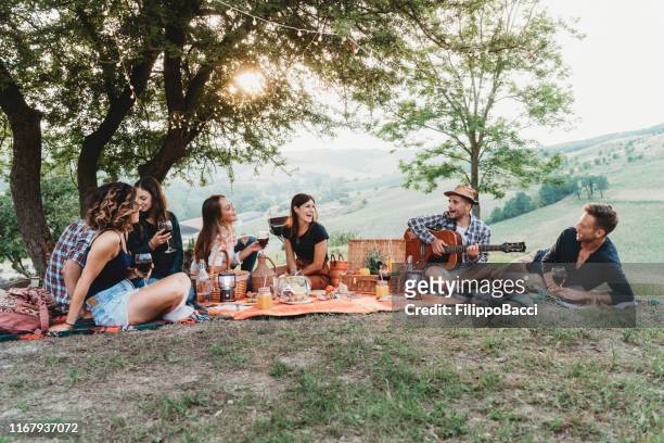 friends doing a picnic together at sunset in the countryside - park picnic stock pictures, royalty-free photos & images