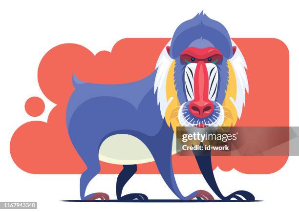 ilustraciones, imágenes clip art, dibujos animados e iconos de stock de carácter mandrill - mandrill