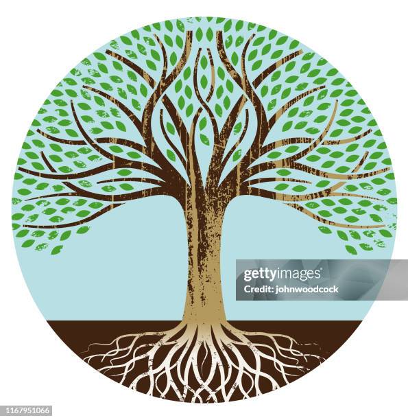circular blue background tree illustration - tree root stock illustrations