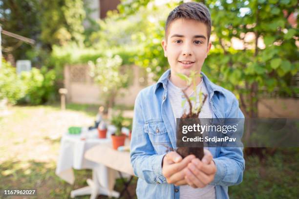 the boy holds a fresh seedling ready for planting - only teenage boys stock pictures, royalty-free photos & images