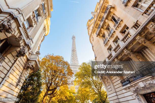 street with eiffel tower and autumn trees, paris, france - paris autumn stock pictures, royalty-free photos & images