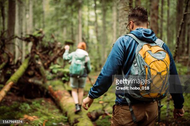 passeggiata nella foresta e avventure in campeggio - escursionismo foto e immagini stock
