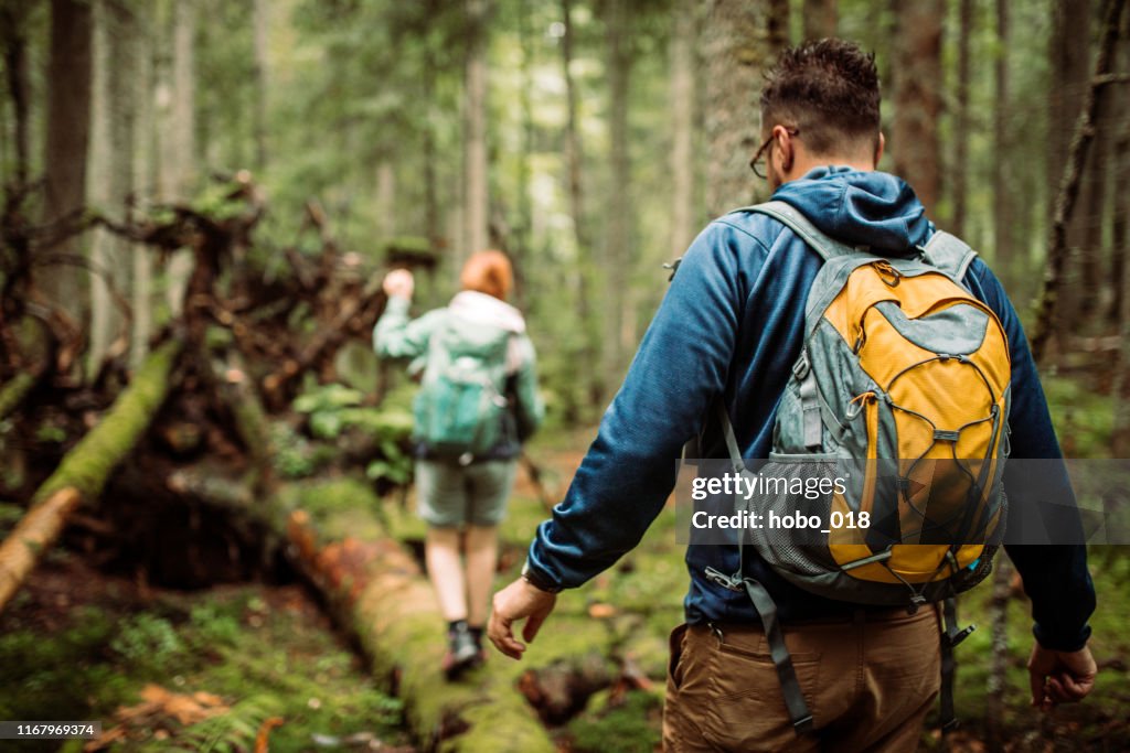 Forest walk and camping adventures