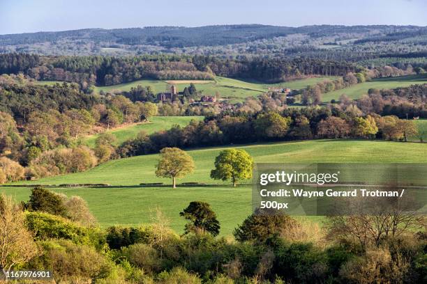 newlands corner - surrey stock pictures, royalty-free photos & images