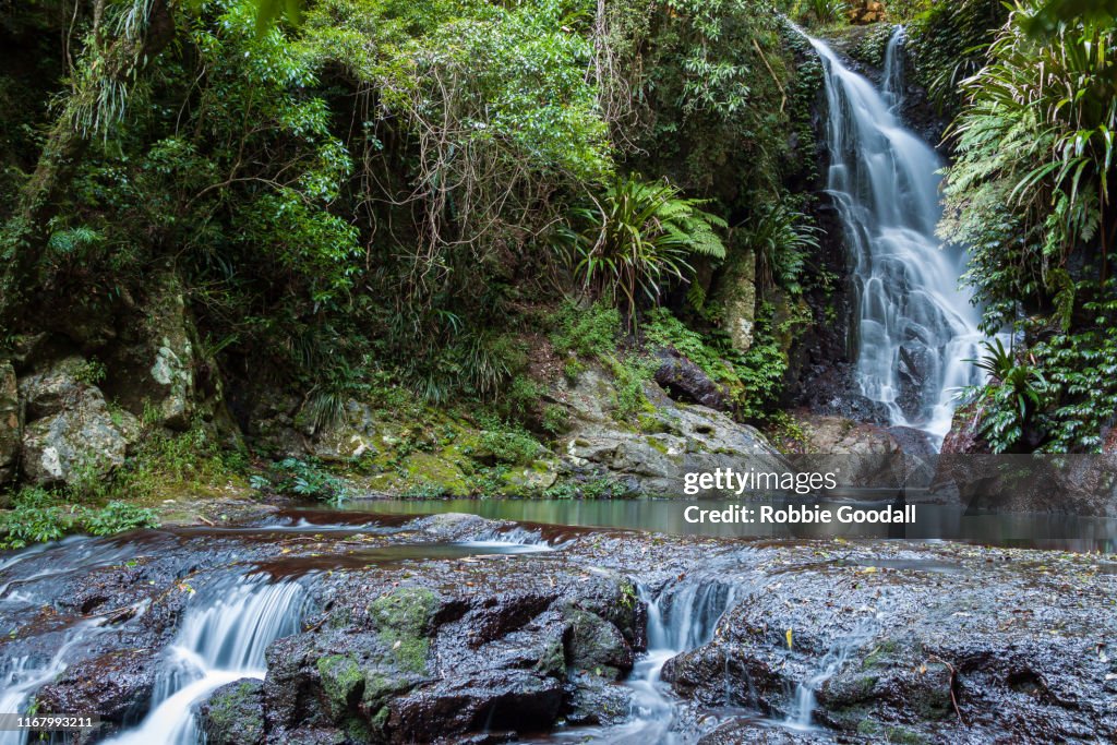 Elabana Falls - Rainforest Waterfall in Lamington National Park Australia