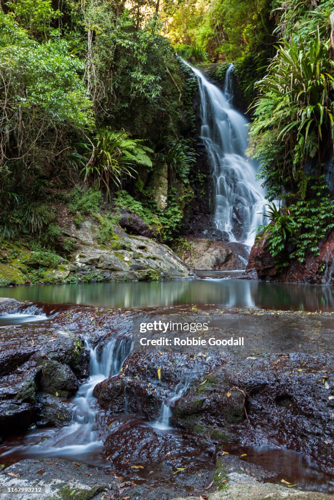 Elabana Falls - Rainforest Waterfall in Lamington National Park Australia