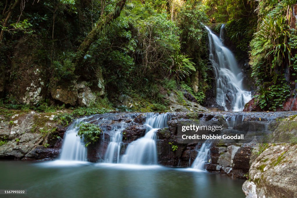 Elabana Falls - Rainforest Waterfall in Lamington National Park Australia
