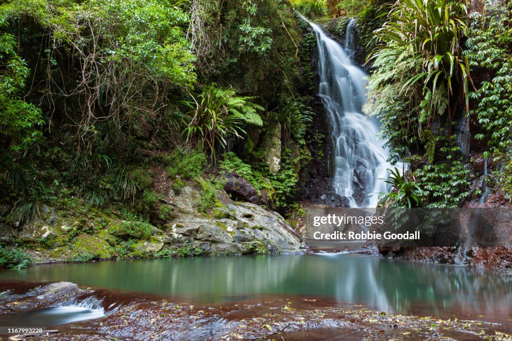 Elabana Falls - Rainforest Waterfall in Lamington National Park Australia