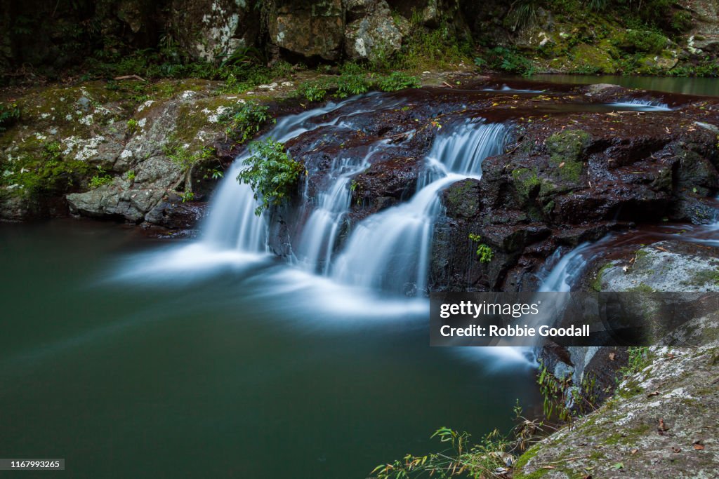 Elabana Falls - Rainforest Waterfall in Lamington National Park Australia