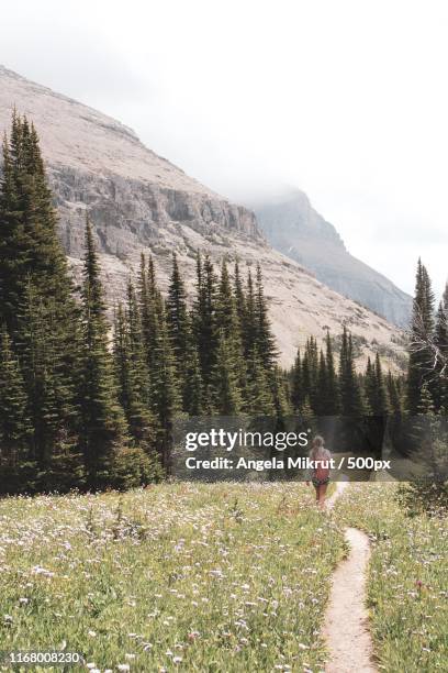 glacier landscape - columbia falls stock pictures, royalty-free photos & images