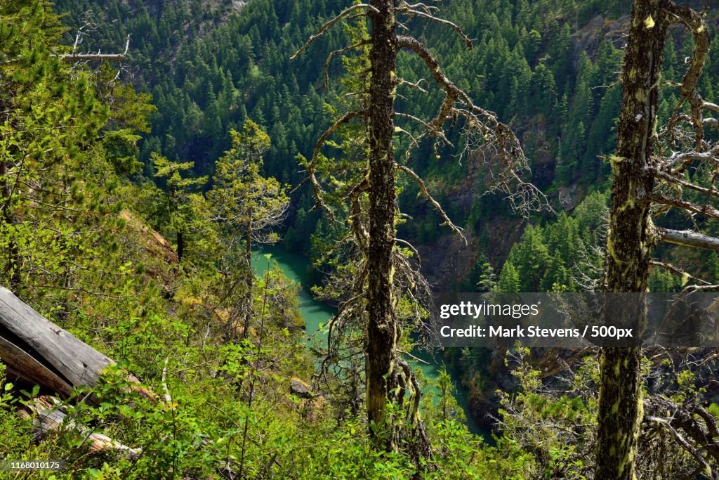 A View Down A Mountainside To The Skagit River