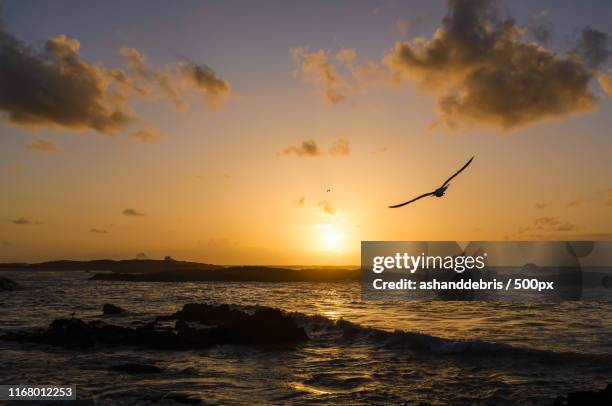 evening flight - ypsilanti stock pictures, royalty-free photos & images