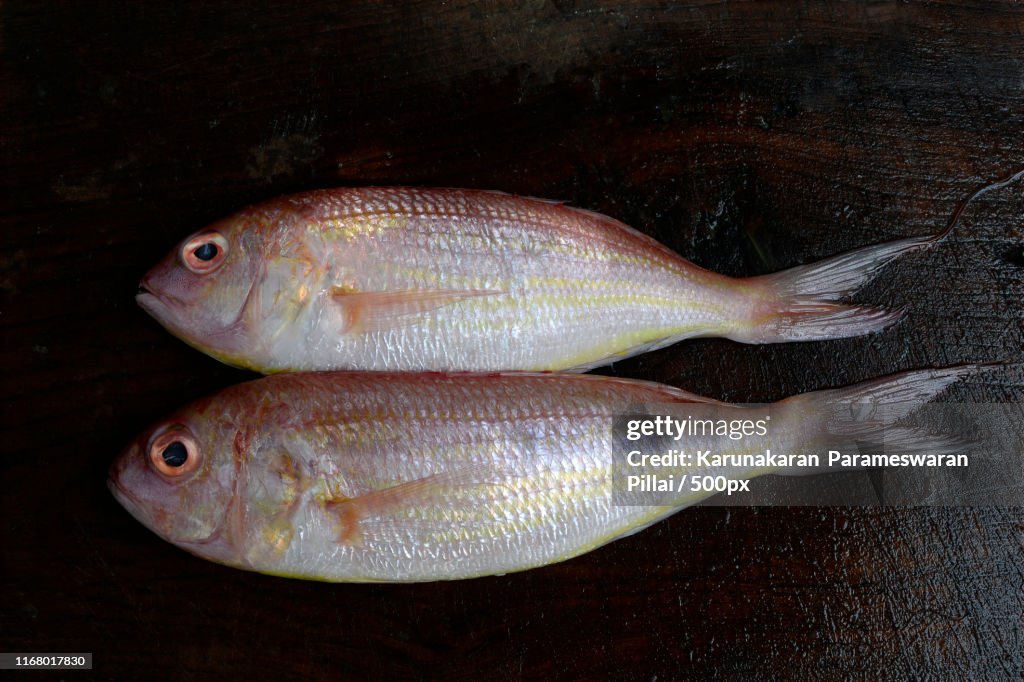 Thread Fin Beam Threadfin Bream Fresh Ornate Threadfin Bream On White Plate Against