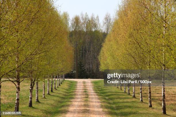 Vermont Spring Photos and Premium High Res Pictures - Getty Images