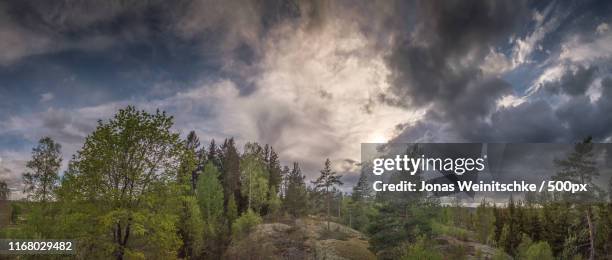 mountain scene - jonas weinitschke stock pictures, royalty-free photos & images