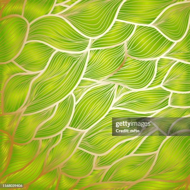 green colored wave background - green wave pattern stock illustrations