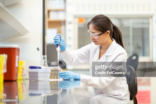 científica femenina pipeteando en laboratorio - biopsy fotografías e imágenes de stock