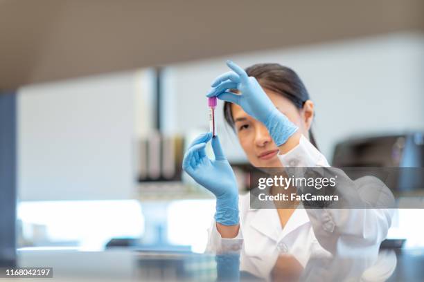 bioquímico analiza pequeña muestra de sangre - blood fotografías e imágenes de stock