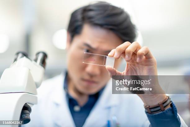 químico masculino que analisa a amostra de teste antes de coloc o no microscópio - biopsy - fotografias e filmes do acervo