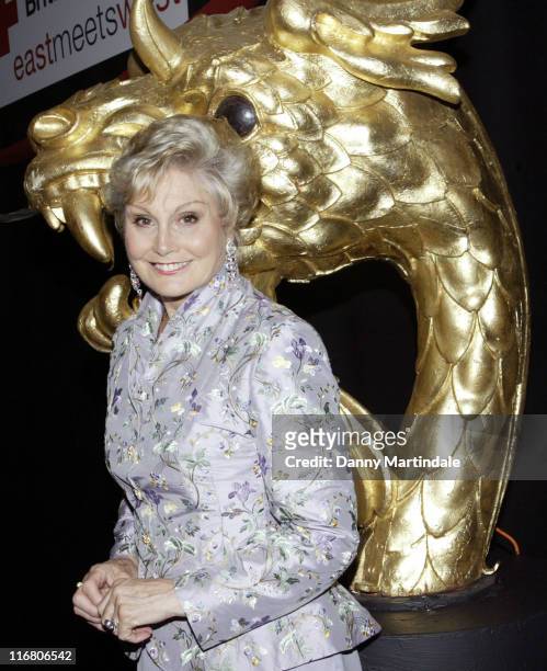 Angela Rippon during British Red Cross Summer Ball - June 5, 2007 at Old Billingsgate in London, United Kingdom.